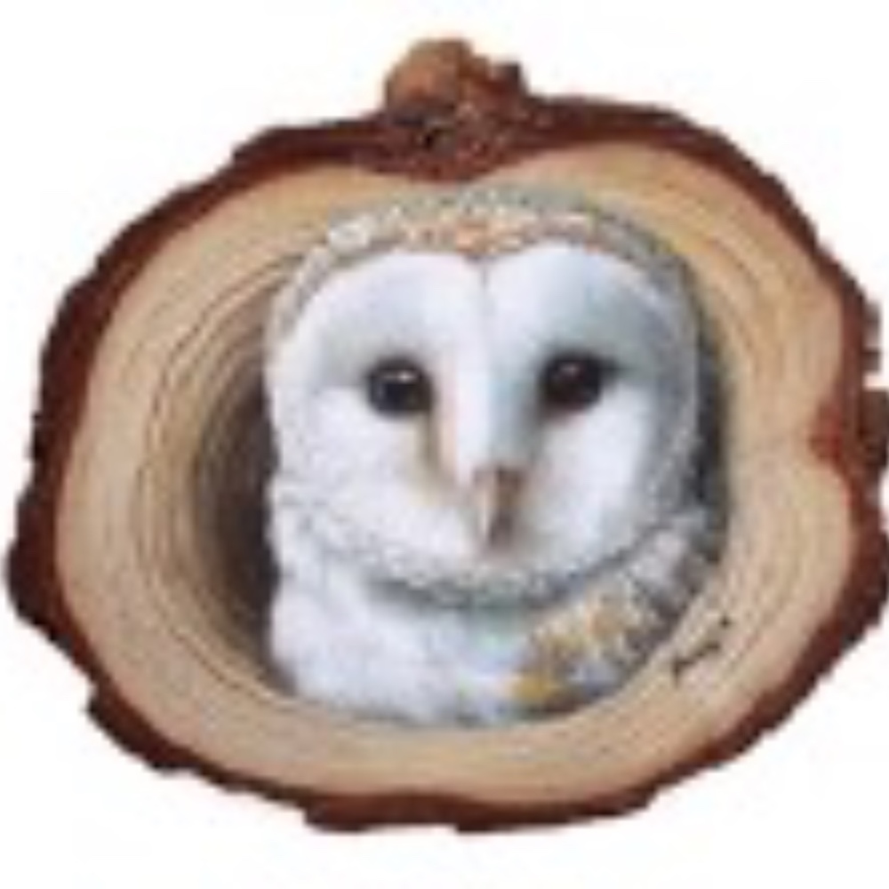 Meet your Posher, Barn owl antiques